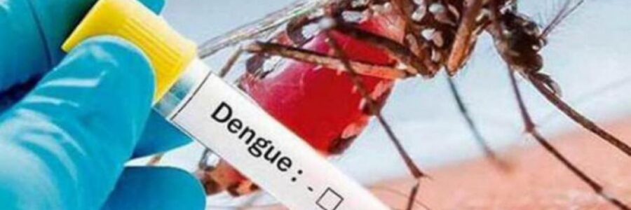 El dengue está arriba de los 150 casos en toda Salta y hay circulación comunitaria en Capital