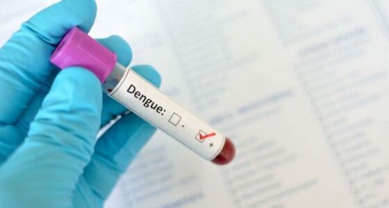 Salud Pública confirma el primer caso de Dengue de la temporada
