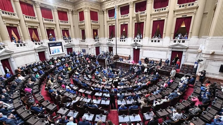 Diputados de Unión por la Patria rechazaron el DNU anunciado por el presidente Javier Milei. Fotos: Gino Mantovani. Comunicacin Senado