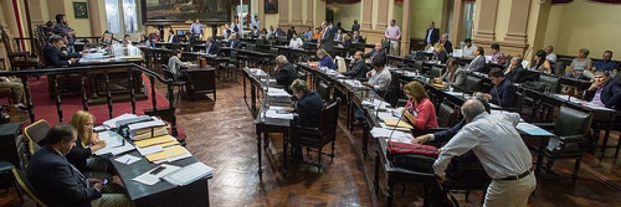 TRES TEMAS SOBRE SALUD TRATA HOY LA CÁMARA DE DIPUTADO