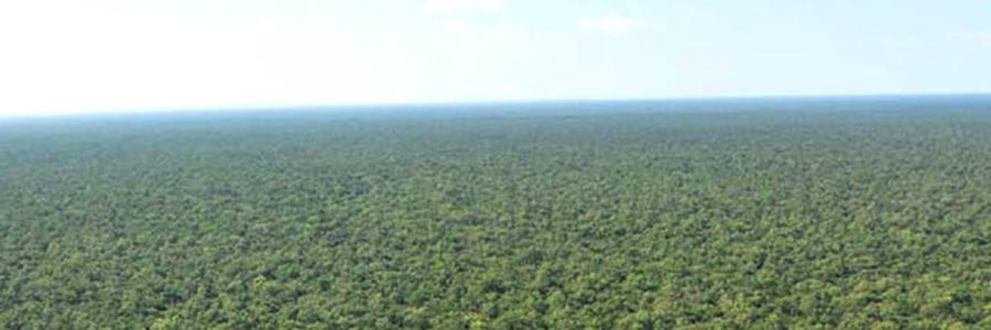Primera reunión anual del Consejo Asesor de ordenamiento territorial de bosques nativos
