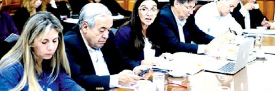 Confirman que estudiantes visitarán la Catedral en el Milagro