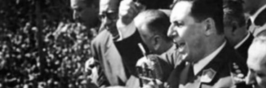 Cuando parece que se pelean, en realidad, se están reproduciendo