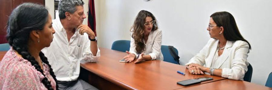 Reforzarán los contenidos de Educación Sexual Integral