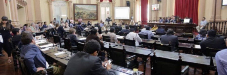 Diputados buscarán declarar oficial la lengua wichí en Salta
