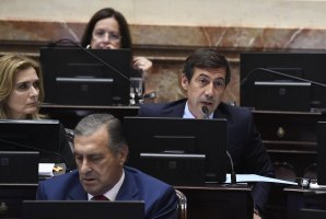 Naidenoff cruzó a los gobernadores de la oposición