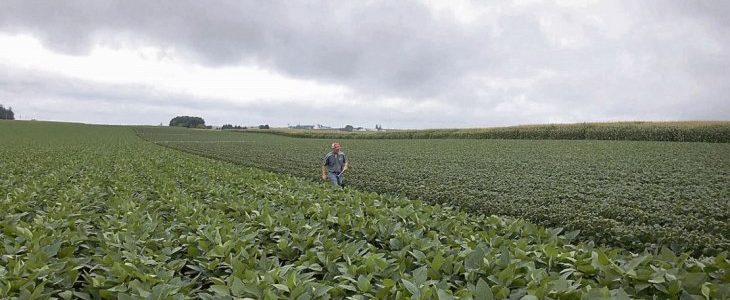 Retenciones: el Gobierno suspendió el registro de exportaciones agrícolas