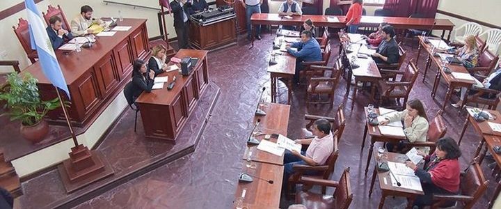 Concejales declararon la emergencia y autorizaron medidas más rígidas