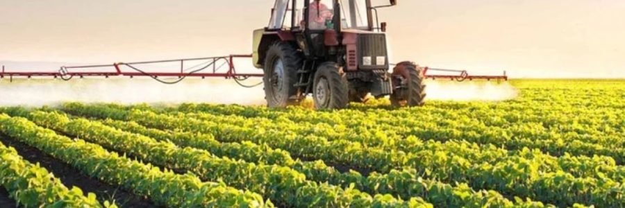 Desde Salta, aseguran que “el campo está quebrado”