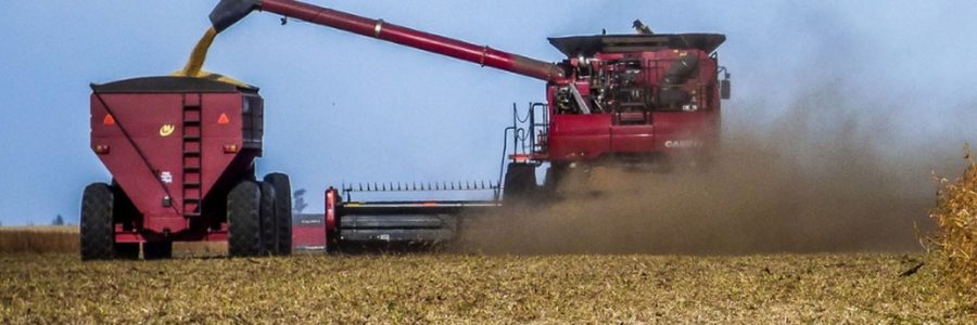 Habilitaron nuevas actividades productivas para atenuar el impacto económíco negativo