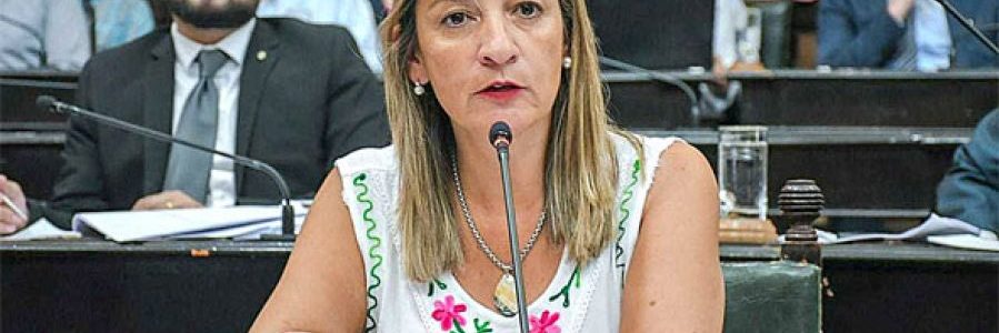 El Senado está entre la sesión normal, semipresencial o virtual