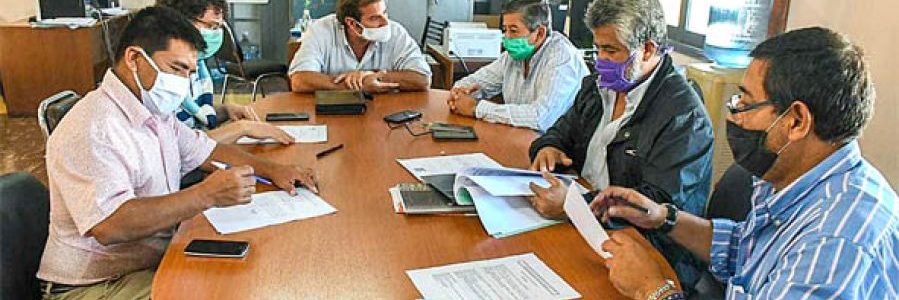 Comisiones del Senado trabajan en forma presencial y virtual
