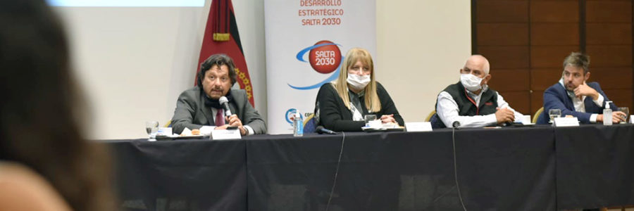 Sáenz instó a una participación activa del Consejo Económico y Social en las políticas públicas