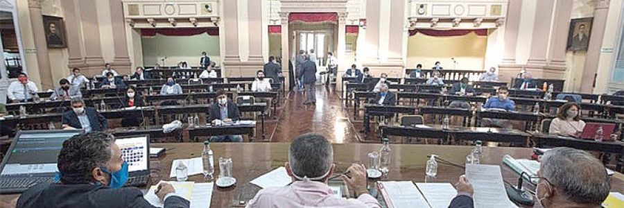 Diputados aprobó la suspensión de las ejecuciones judiciales