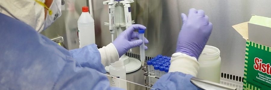 Se confirmaron cuatro nuevos casos de coronavirus en Orán