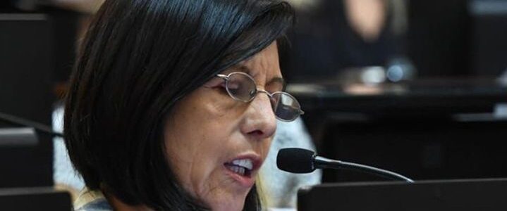Buscan incorporar un protocolo de violencia de género en la política