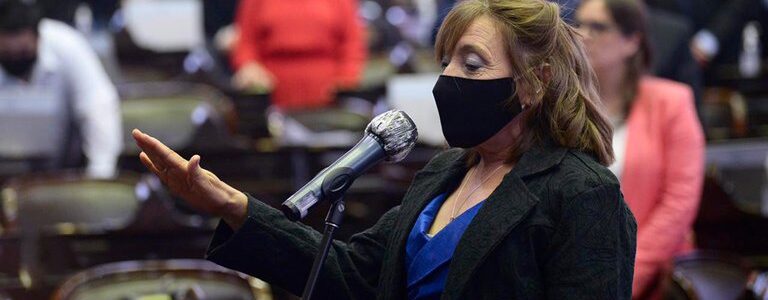 Alcira Figueroa asumió como diputada en reemplazo de Juan Ameri