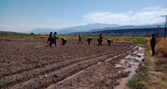 Ruta 40: un plan estratégico hacia el progreso