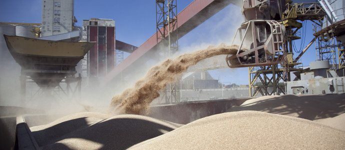 La soja alcanzó los u$s432 por tonelada y marca un nuevo récord