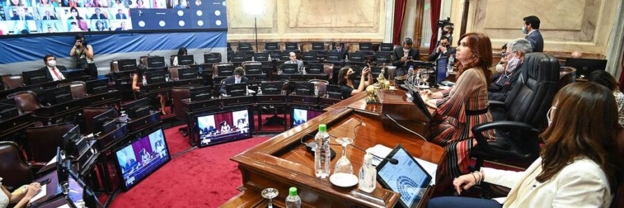 Es ley: el Senado aprobó la legalización del aborto en una sesión histórica