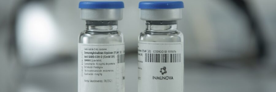 Coronavirus: la ANMAT aprobó el suero equino hiperinmune elaborado por argentinos