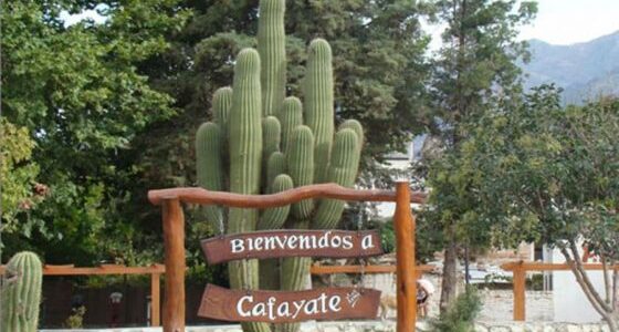 Educación: Refuncionalizarán edificios provinciales para fines educativos