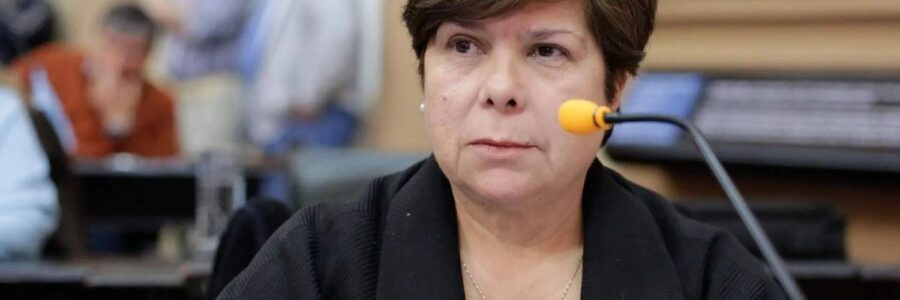 Escándalo: se viralizaron audios donde una diputada provincial insulta al Ministro de Salud de la provincia