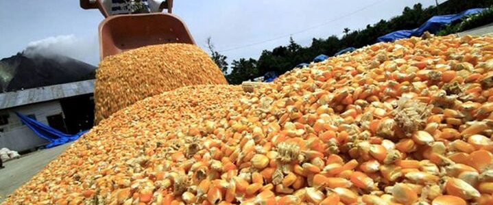 Conflicto con el campo: el Presidente recibirá a la Mesa de Enlace