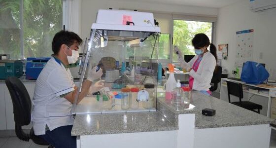 Hospital Arturo Oñativia: referente nacional y regional en el tratamiento de cáncer de tiroides