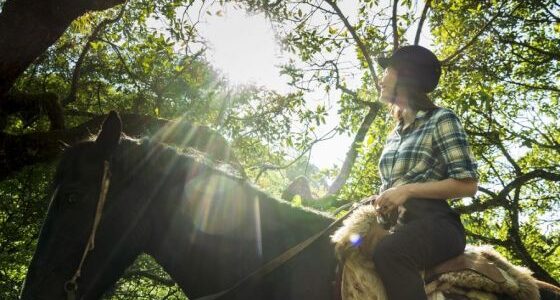 Enero: balance del ministerio de turismo de Salta