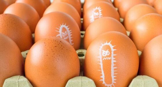 Desde el ministerio de Salud, se recomienda reforzar cuidados para prevenir infección por salmonella