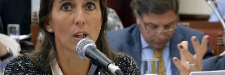 Constitución provincial: “Usaron la Constitución para perpetuarse en el poder”