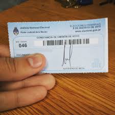 Impulsan un plan para que las PASO sean optativas