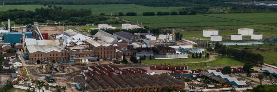 Hoy se define en Diputados el futuro de los biocombustibles