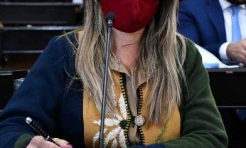 Tiene preferencia un proyecto de Ley sobre las elecciones provinciales