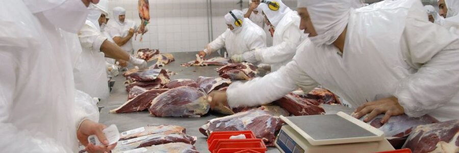 No se podrá exportar asado, tapa de asado, matambre, cuadrada ,vacío, falda y paleta