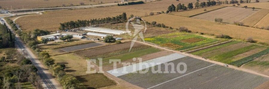 Fuerte rechazo a un plan de loteos que dejaría al INTA sin su campo experimental