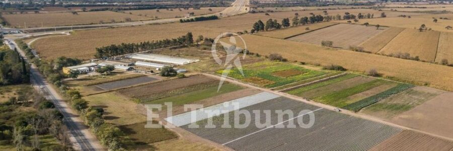 Crece la oposición a la quita de tierras al INTA