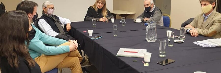 La presidente del COPAIPA pidió matriculados en la Auditoría