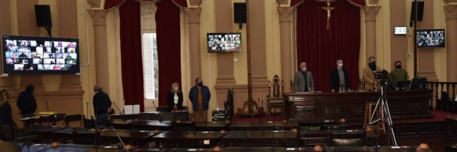 Diputados se pronunció en contra de cualquier intento por la nacionalización del litio