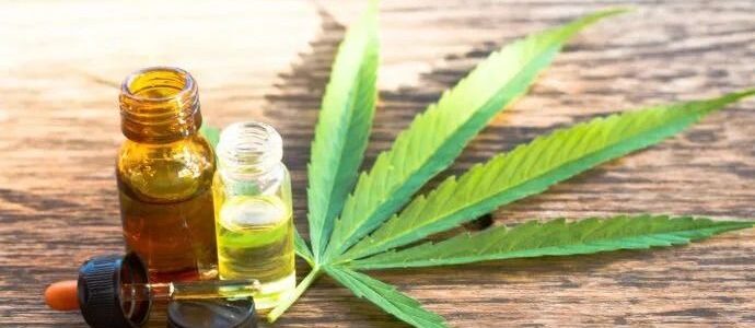 El Senado dio media sanción al proyecto para producir cannabis medicinal e industrial