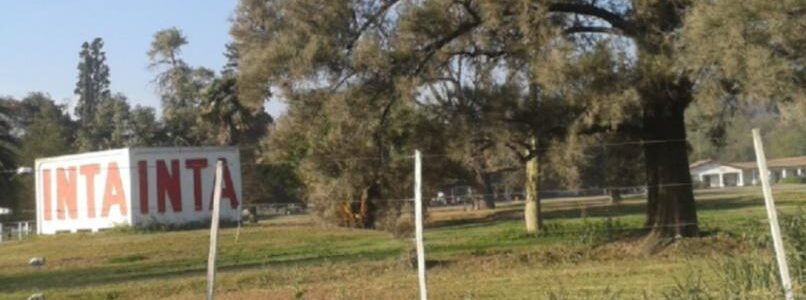 Ingenieros agrónomos pidieron dejar sin efecto la expropiación al INTA