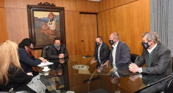El gobernador Sáenz se reunió con directivos de la minera Rincón Mining Limited