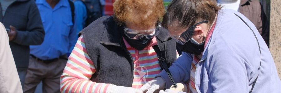 El Gobierno formalizó el pago del bono de 5.000 pesos para los jubilados en agosto