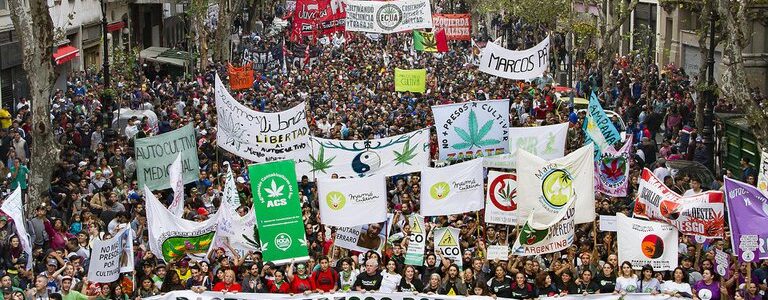 Cannabis: La mayoría de los argentinos está a favor de legalizar el uso adulto