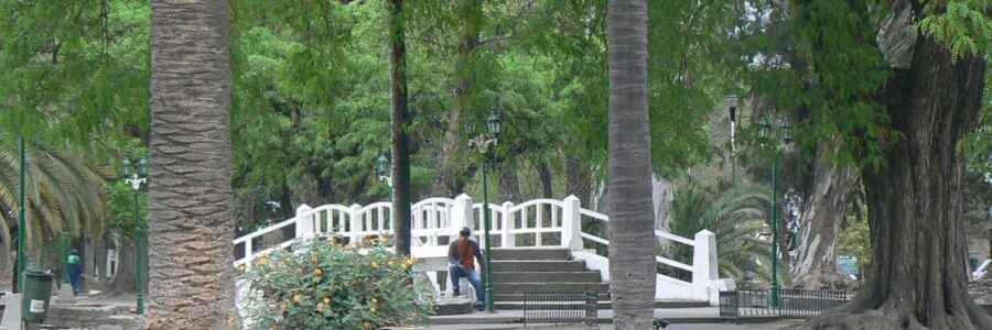 Comenzará a vacunarse contra el coronavirus en el Parque San Martín: desde cuándo y quiénes pueden inocularse