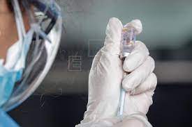 Coronavirus en Salta: se confirmaron 5 casos nuevos de las variantes COVID-19