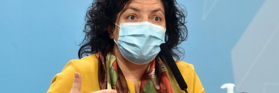 Vizzotti analiza con los ministros de Salud del país la situación por la pandemia