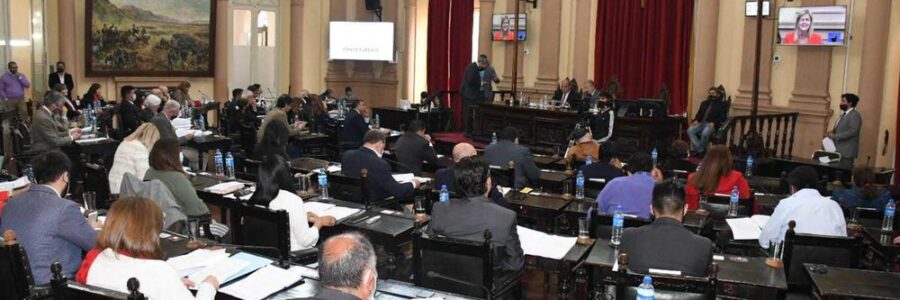 Convención Constituyente: Tras una amplia deliberación se aprobó el reglamento