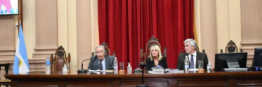 Convencionales Constituyentes coinciden en limitar la  reelección de los cargos legislativos